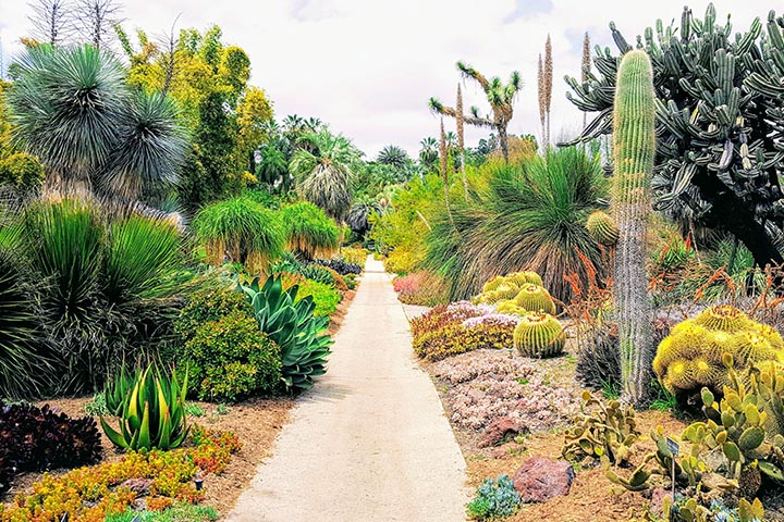 Eco-Friendly Xeriscaping for Industrial Parks